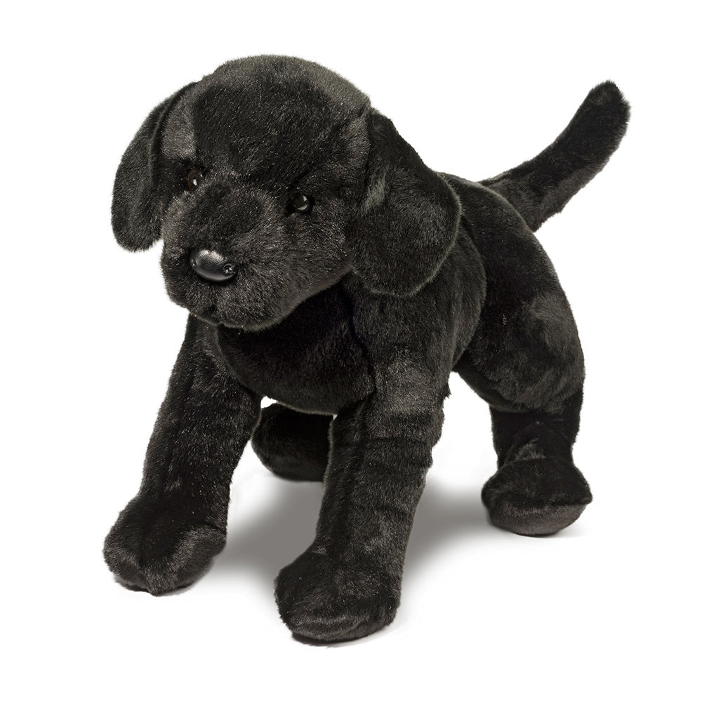 James Black Lab