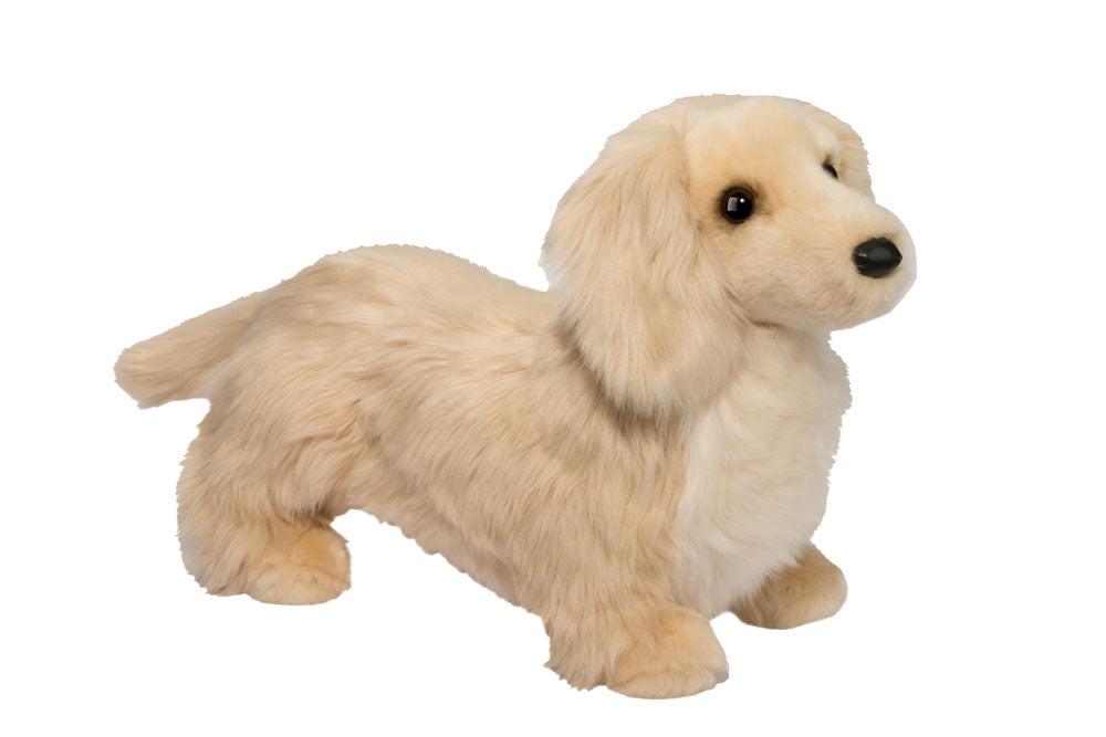 Haisley Golden Dachshund