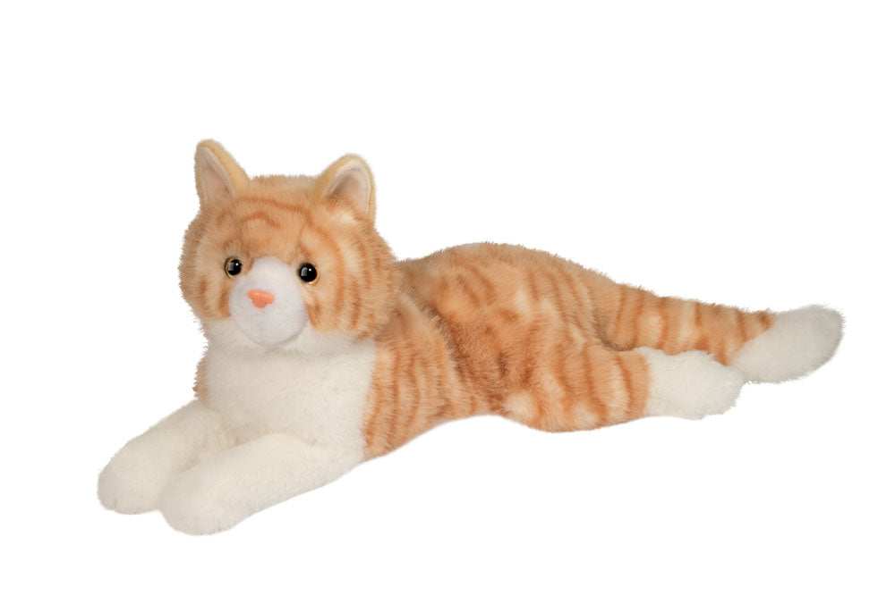 Mango Orange Cat