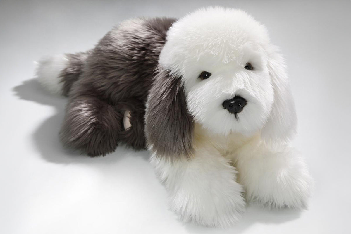 Bobtail Old English Sheepdog lying