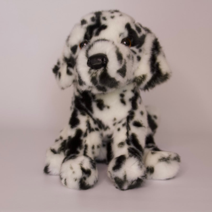 Mackay Dalmatian