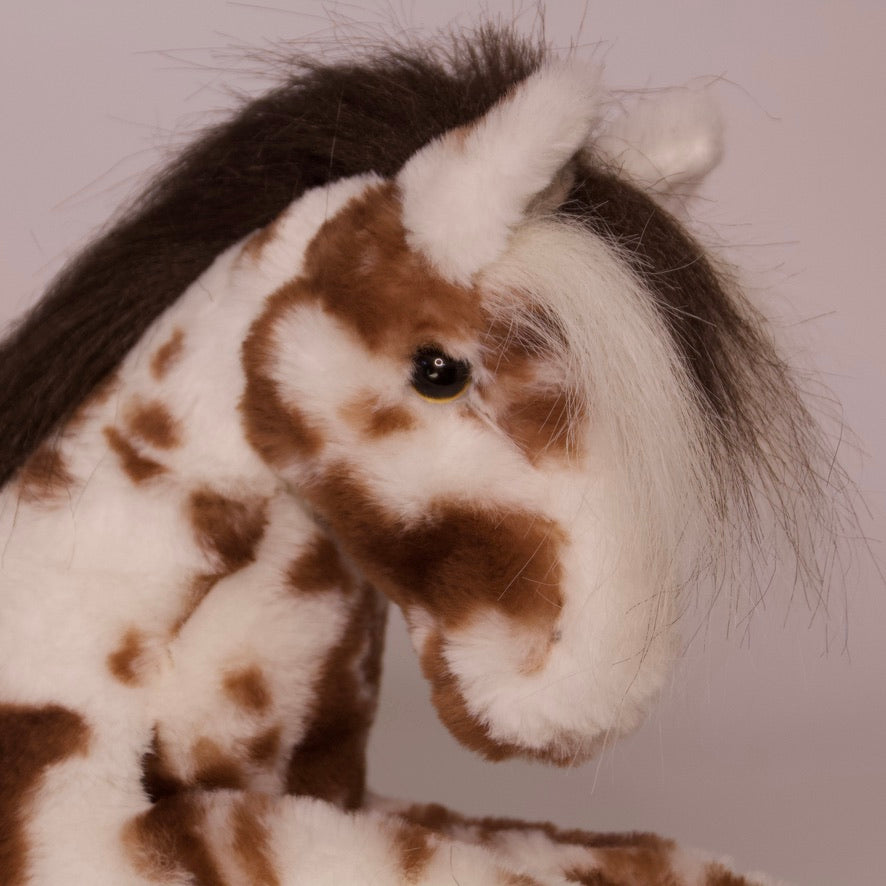 Duke Appaloosa Horse
