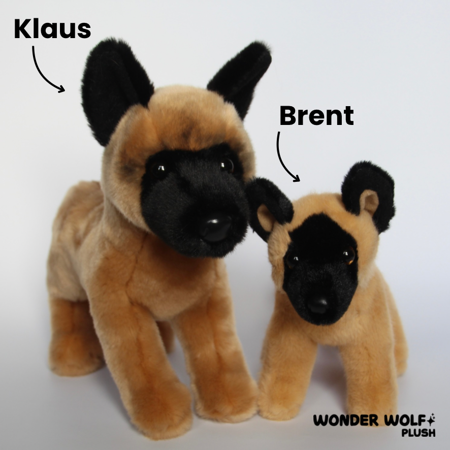 Brent Belgian Malinois