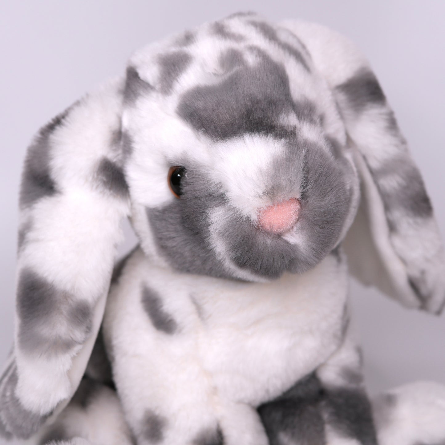 Bouncie Spotted Soft Bunny