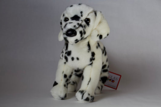 Winston Dalmatian