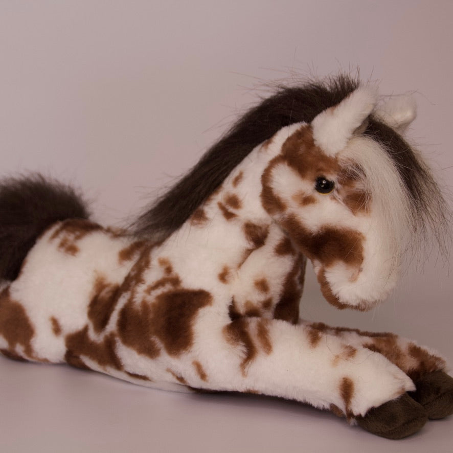 Duke Appaloosa Horse