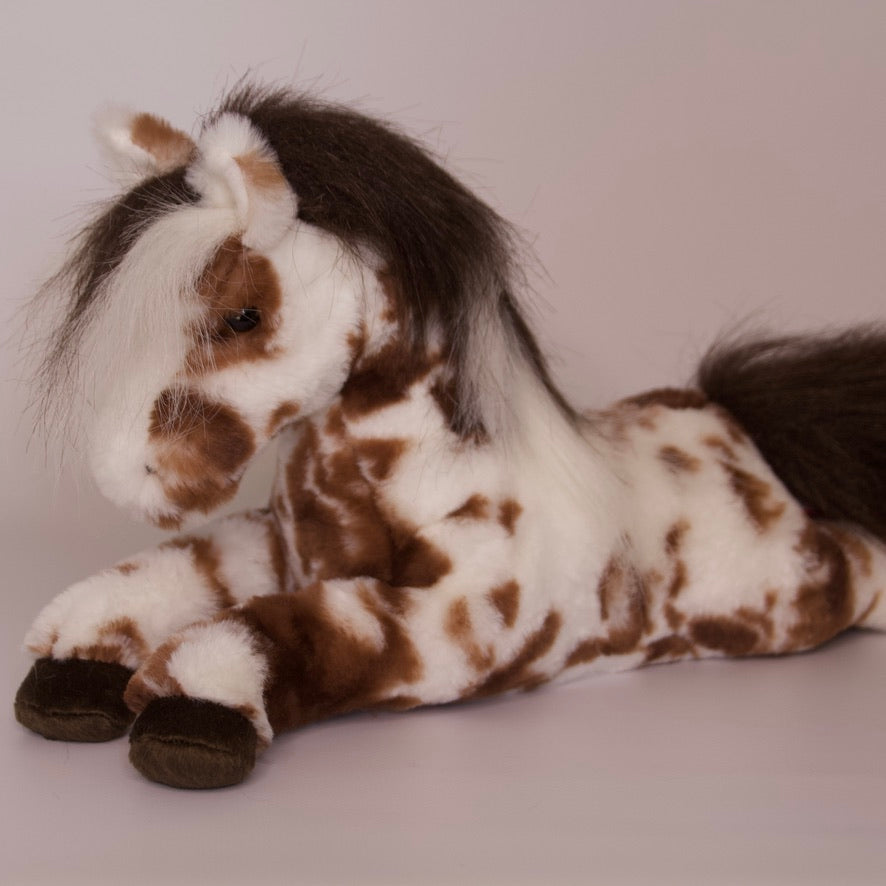 Duke Appaloosa Horse
