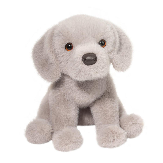 Argento Silver Labrador