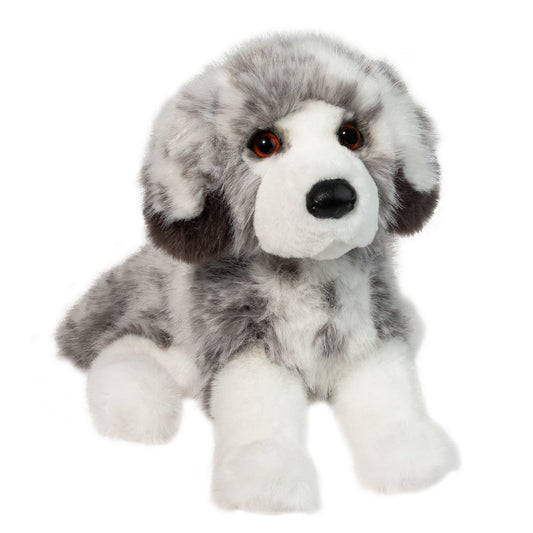 Skylar DLux Australian Shepherd
