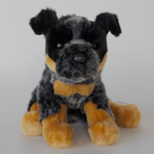 Dexter Australian Cattle Dog