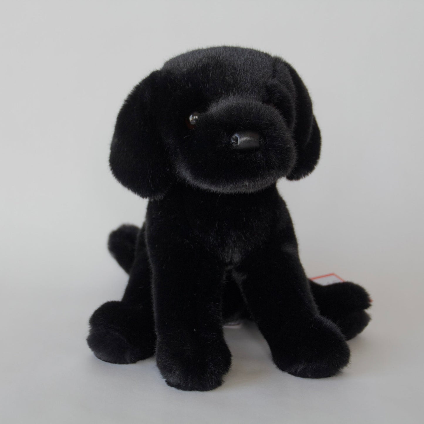 Ford Black Labrador