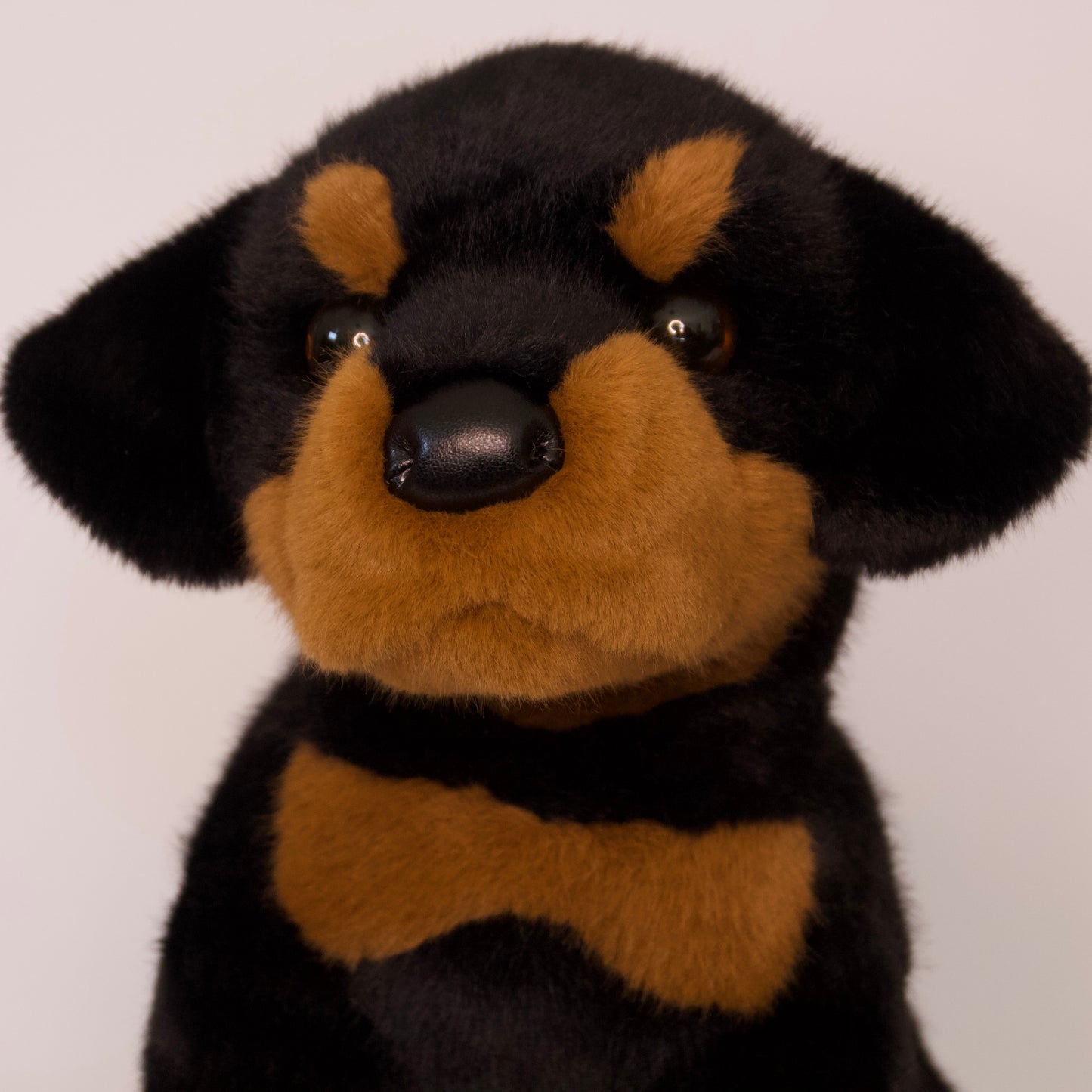Ed Rottweiler