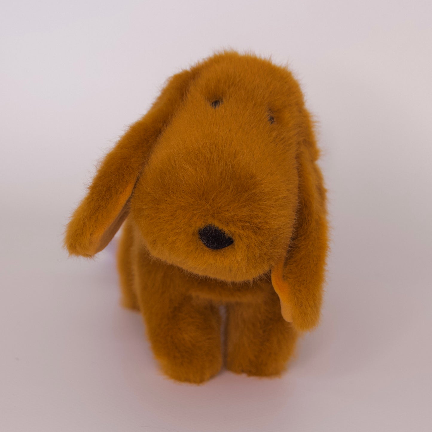 Dale Dachshund Muzzle