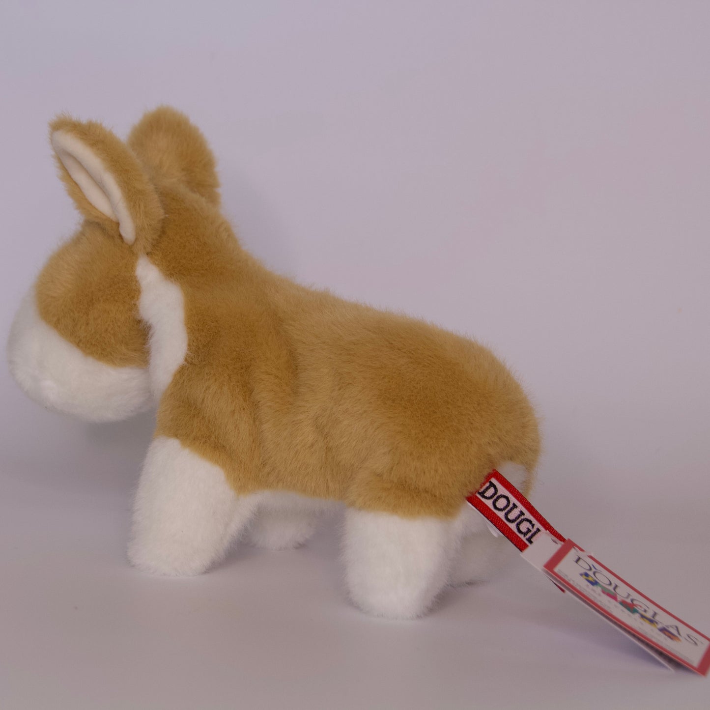 Carl Corgi Muzzle