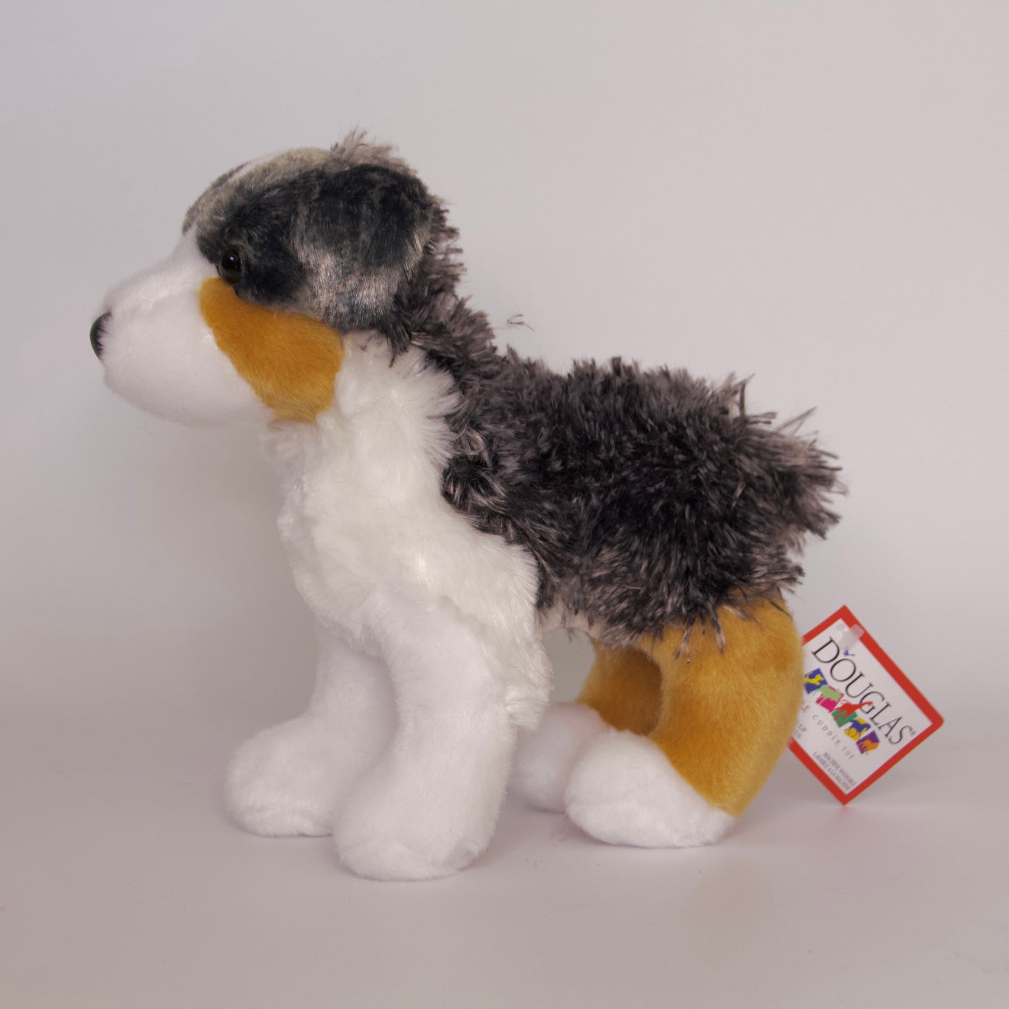 Steward Australian Shepherd