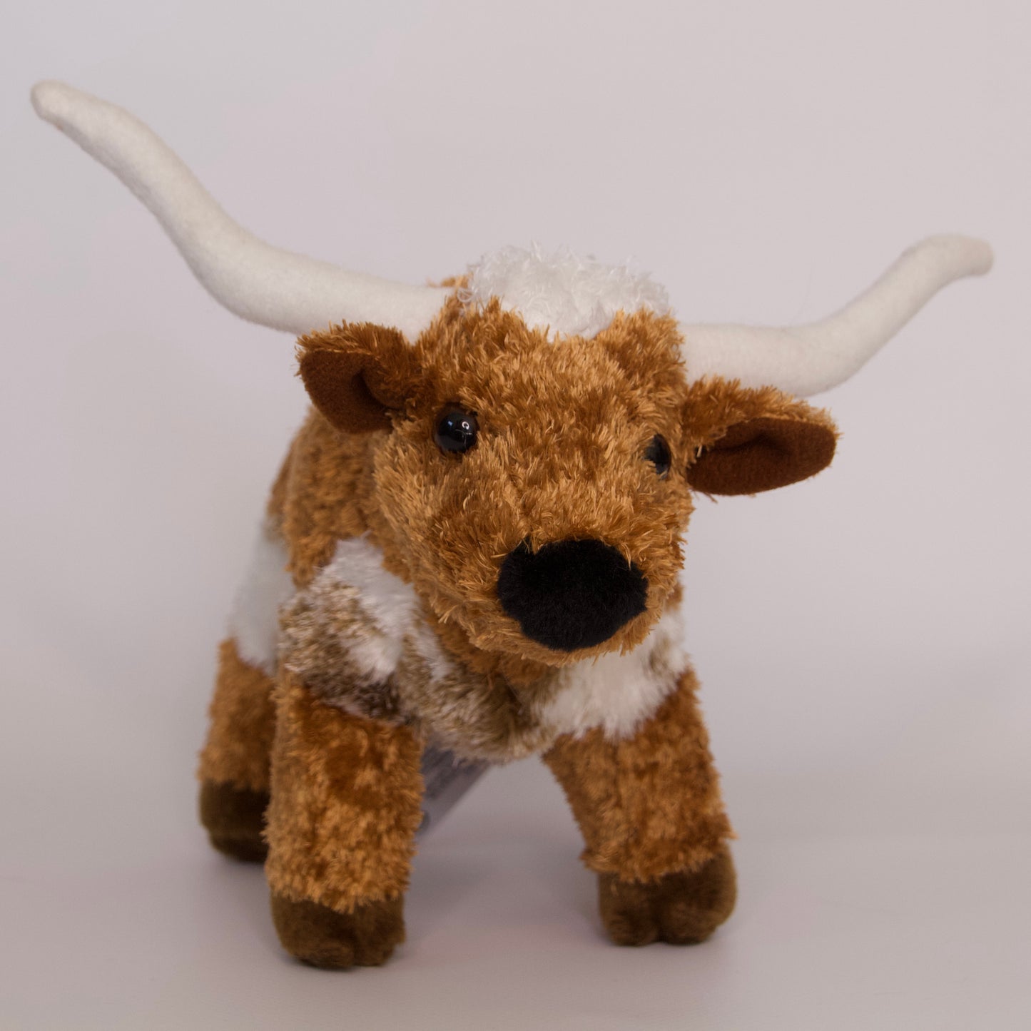 T-Bone Longhorn Steer