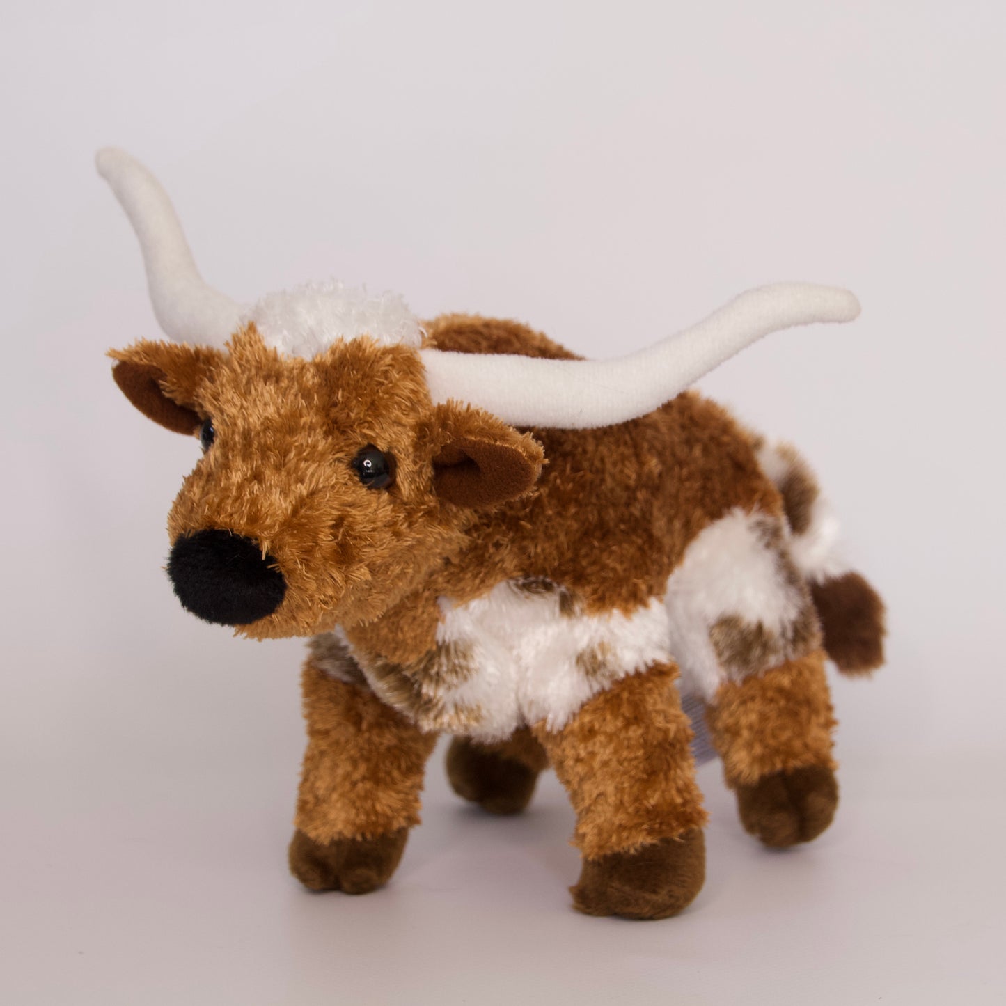 T-Bone Longhorn Steer