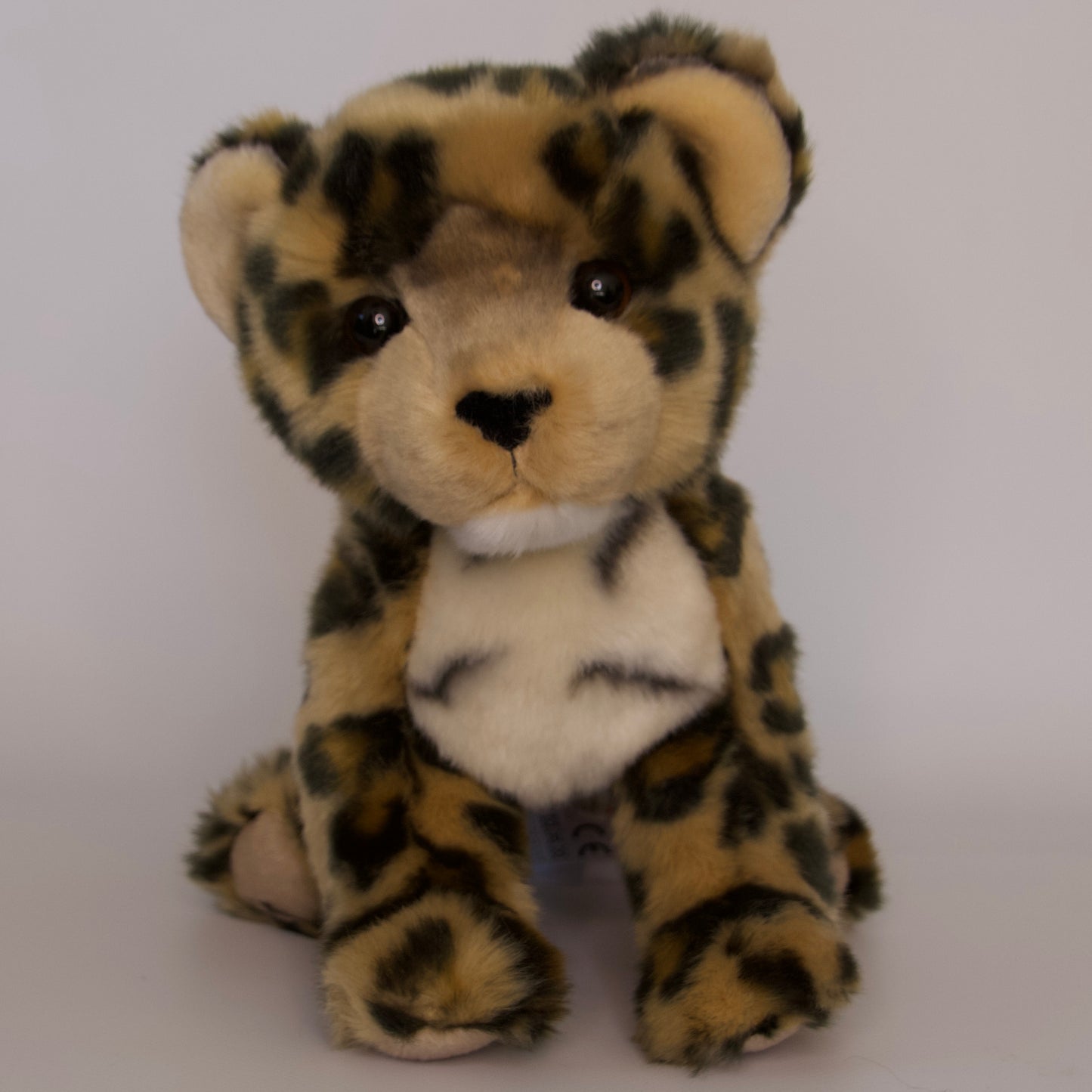 Spatter Leopard Cub