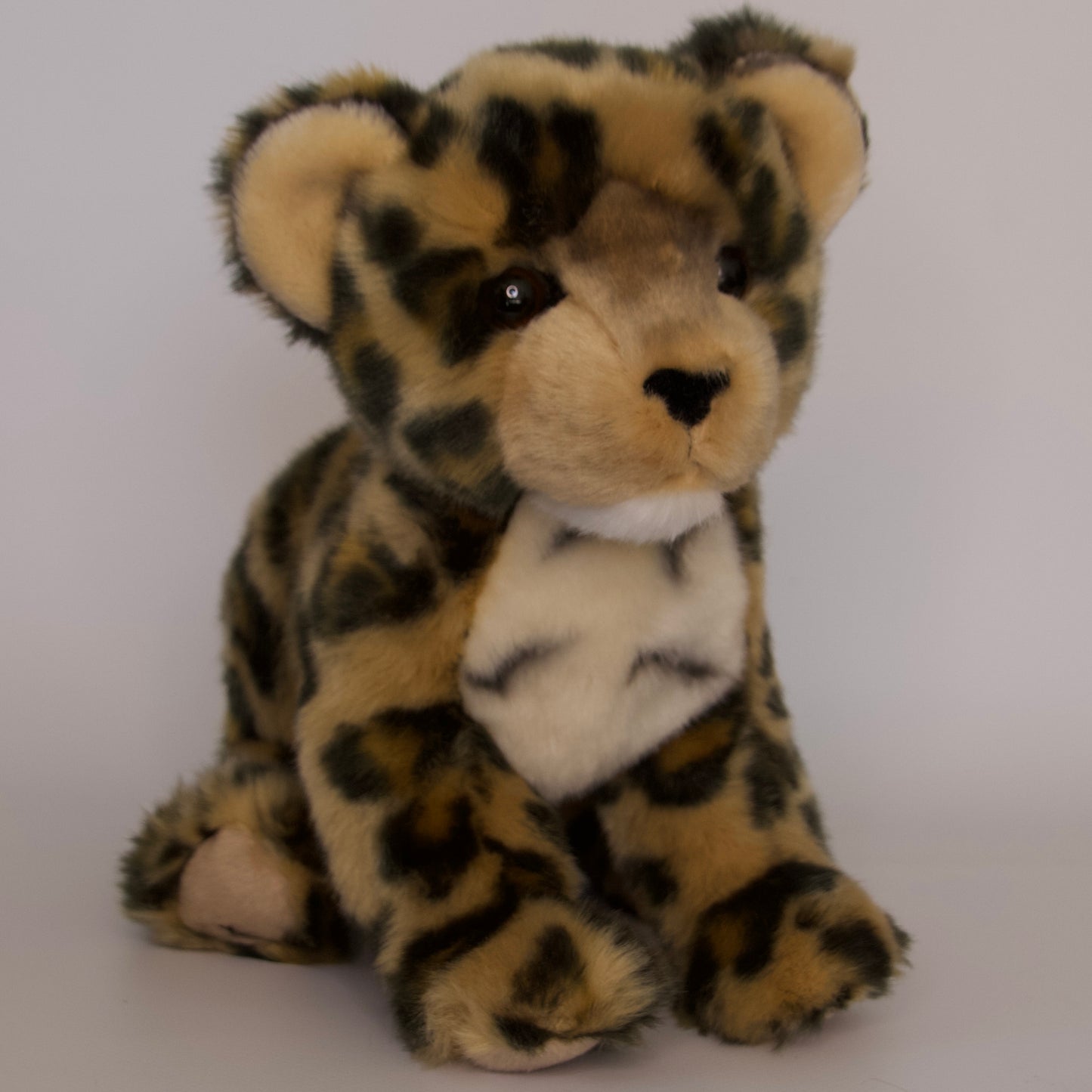 Spatter Leopard Cub