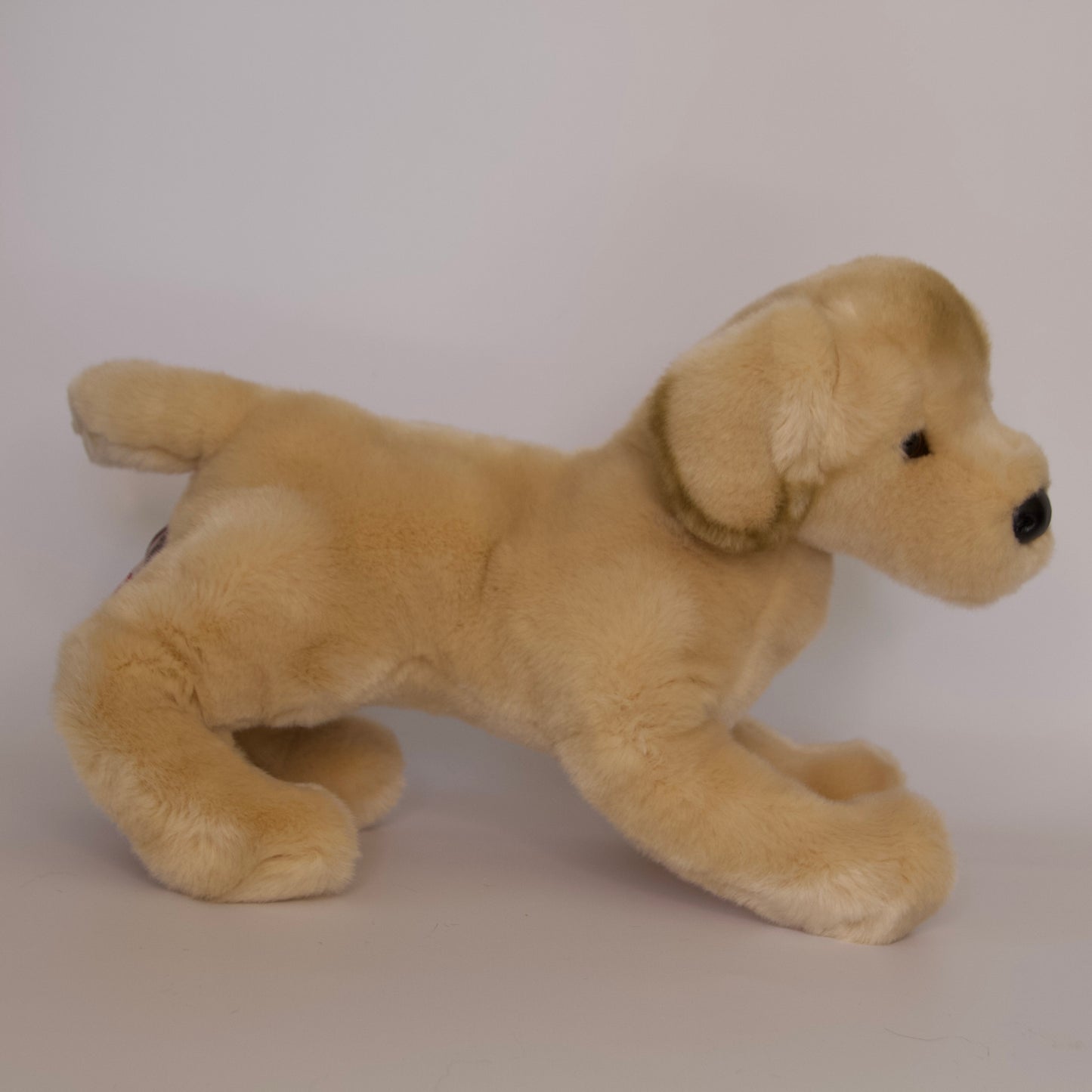 Mandy Yellow Labrador