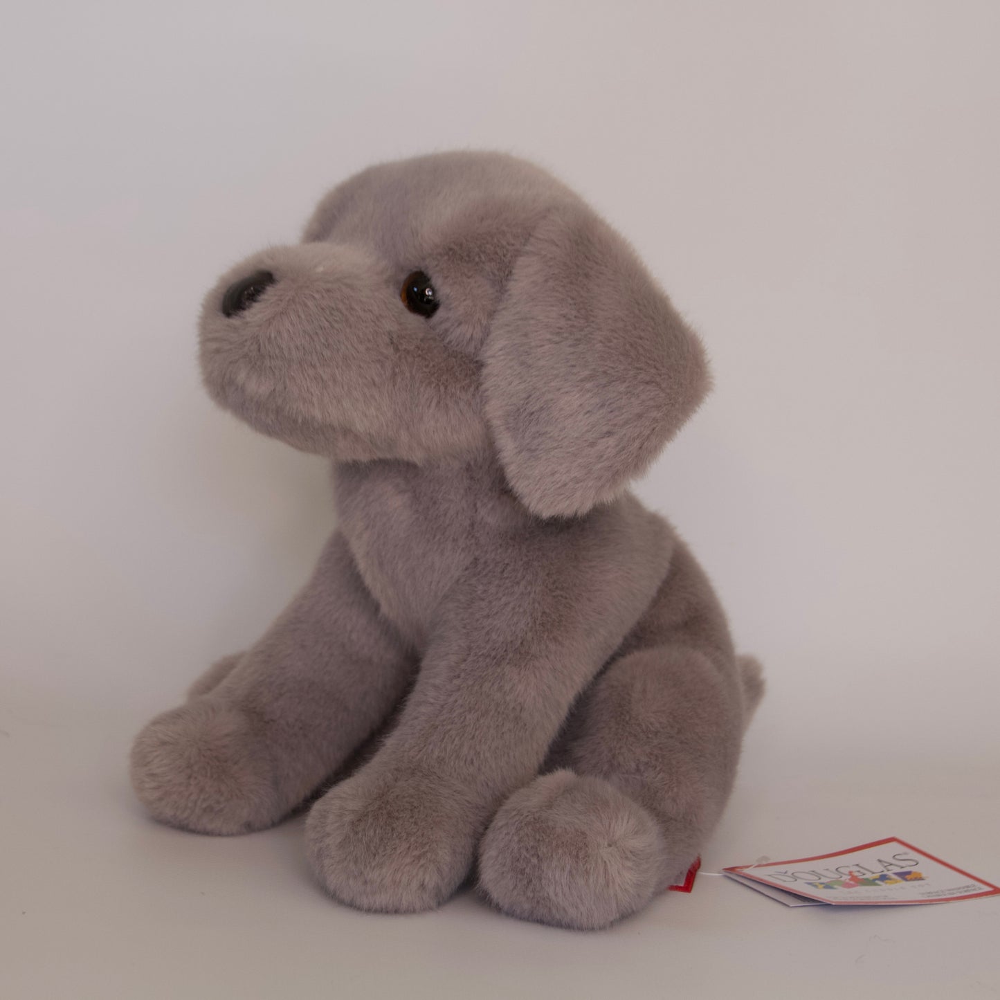 Argento Silver Labrador