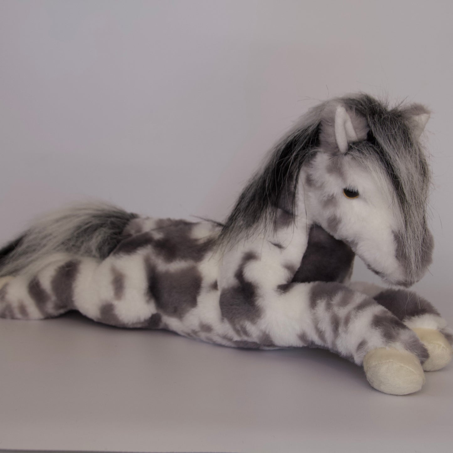 Starsky Appaloosa Horse