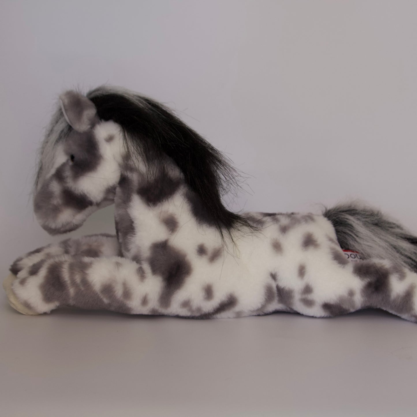Starsky Appaloosa Horse