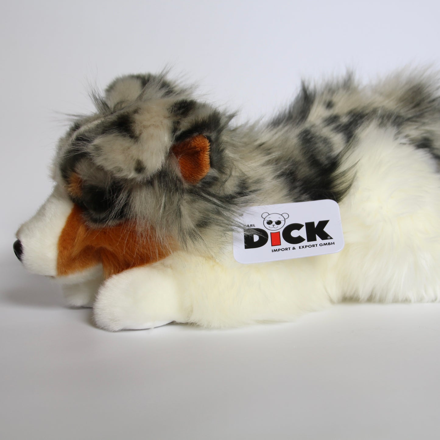 Australian Shepherd Dog Lying - Small