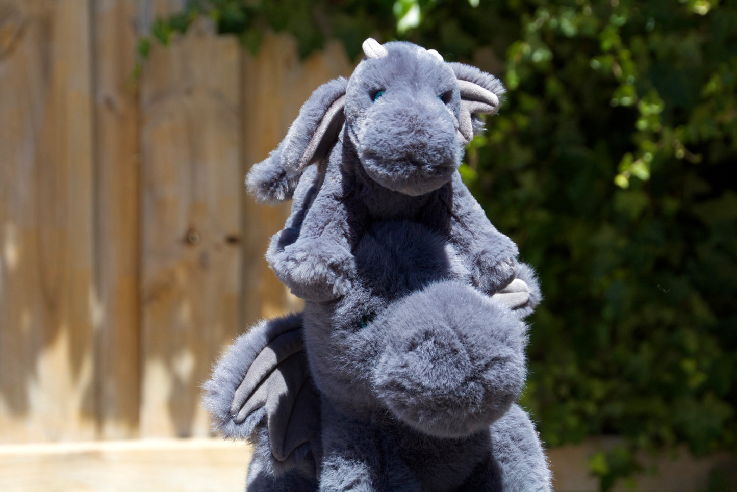 Sootie Soft Dragon (All Sizes)