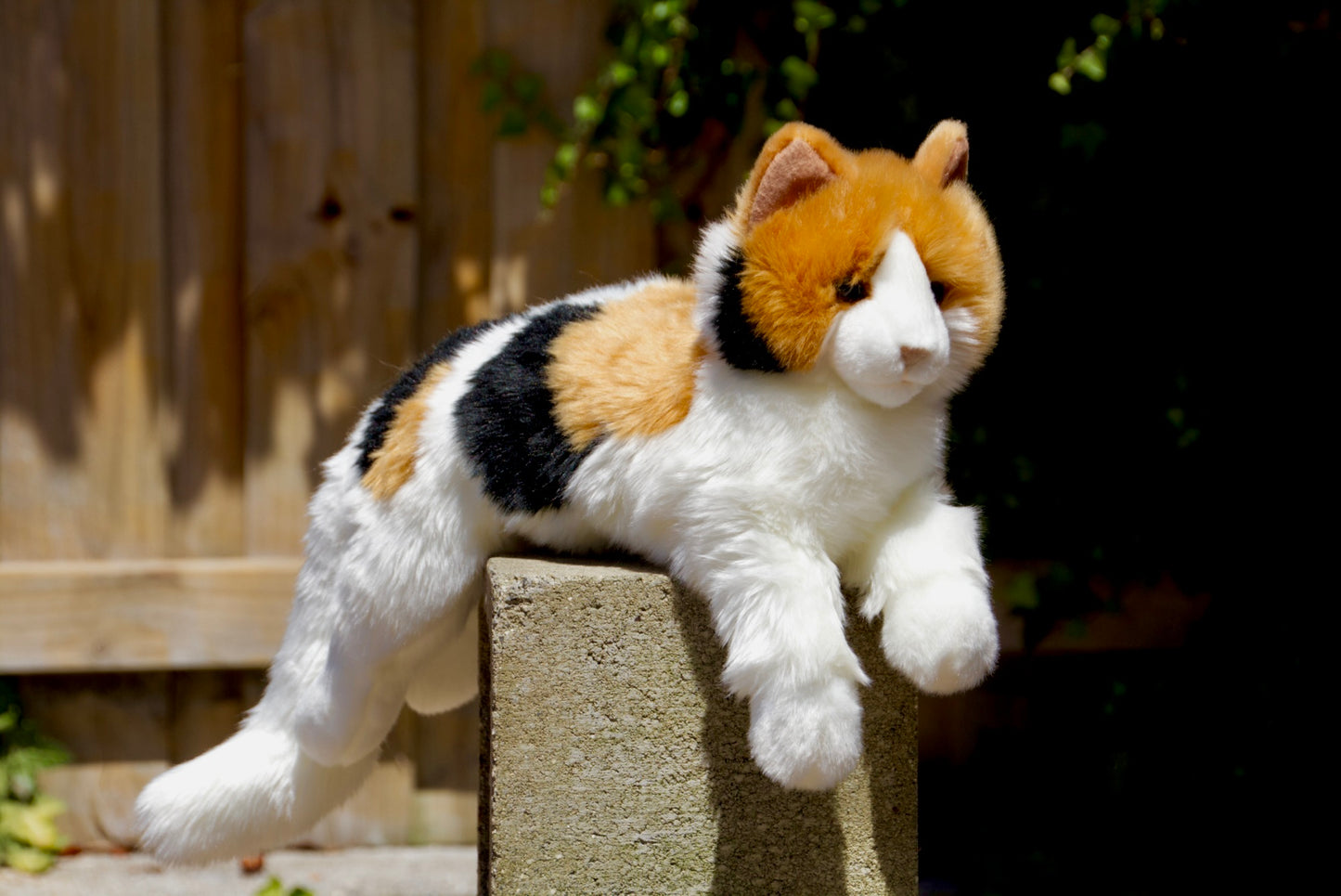 Puzzle Calico Cat