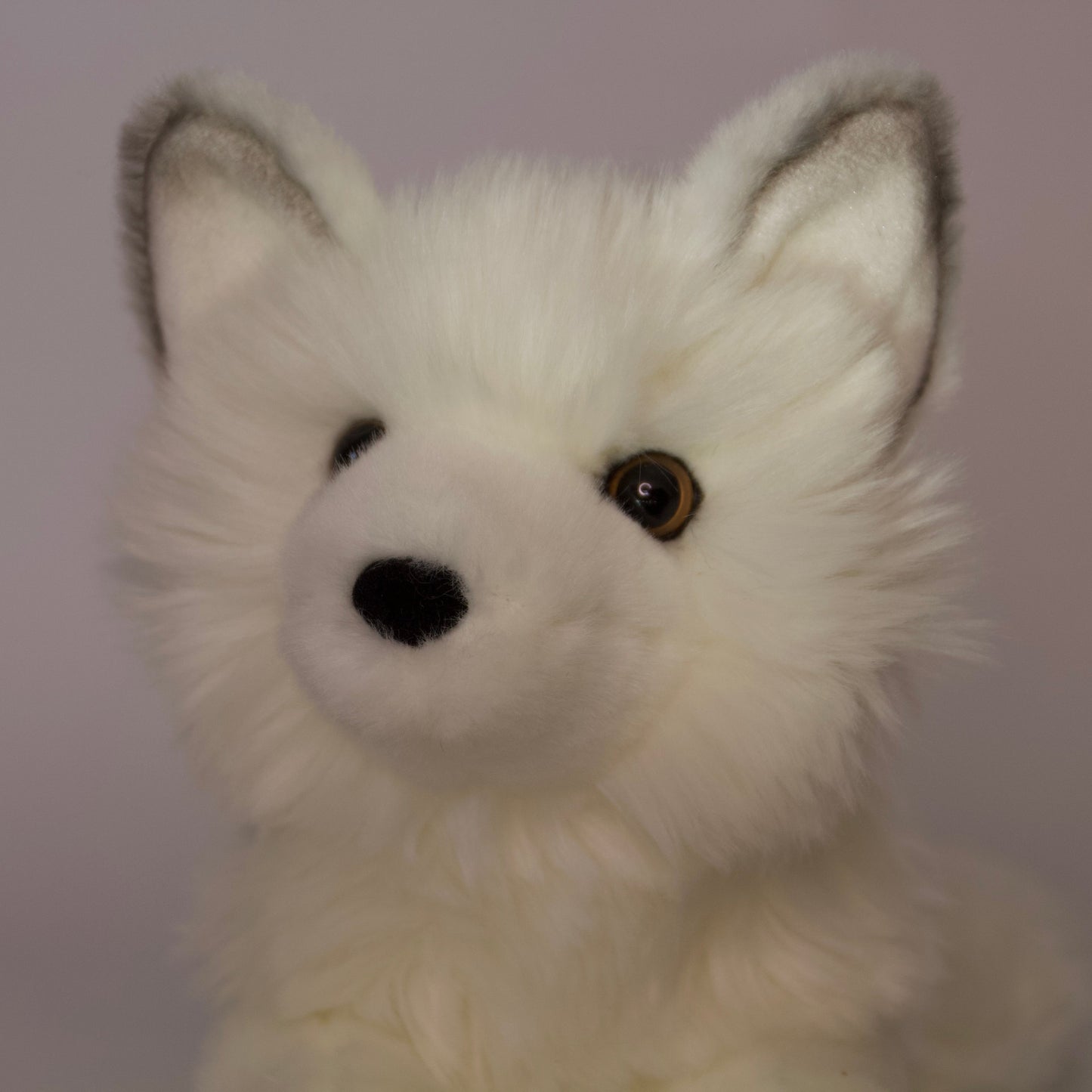 Yuki Arctic Fox