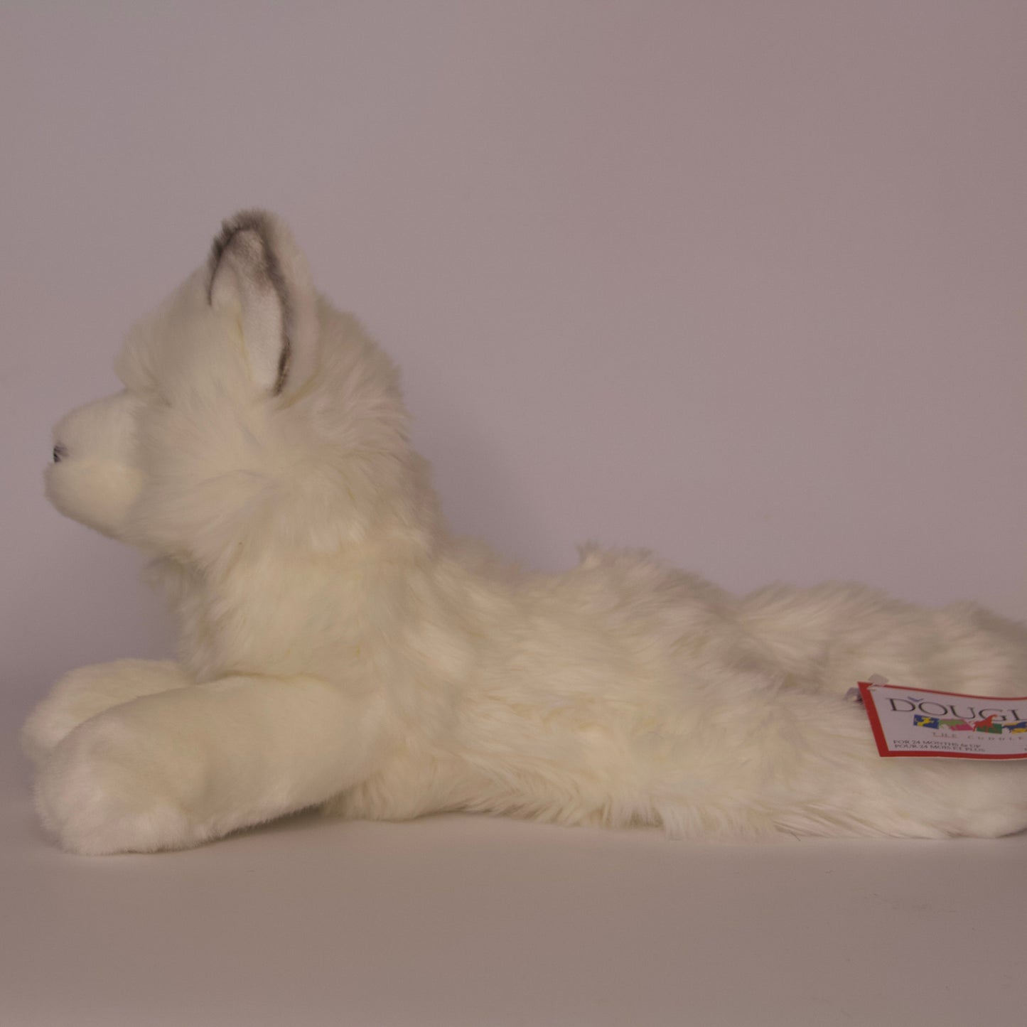 Yuki Arctic Fox