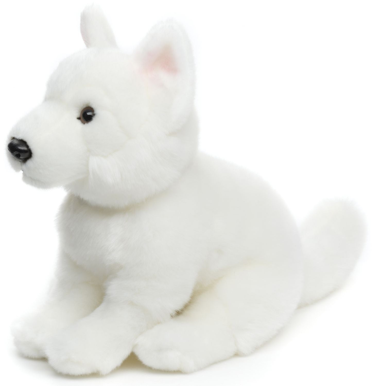 White Swiss Shepherd Puppy (26cm)