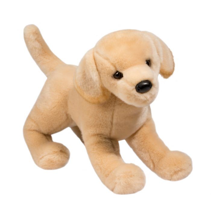 Mandy Yellow Labrador