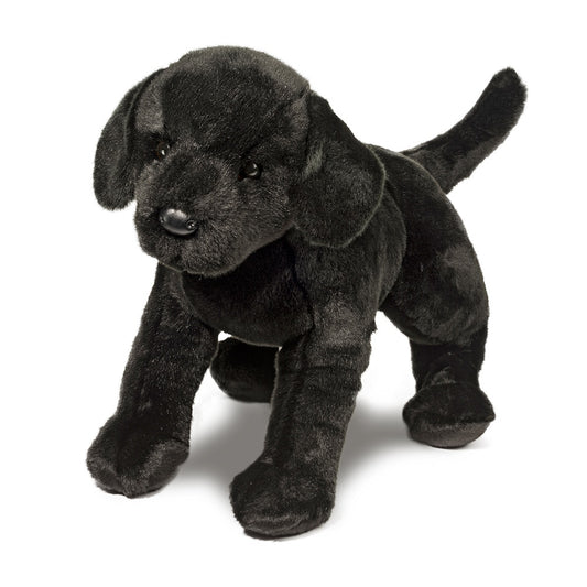 James Black Lab