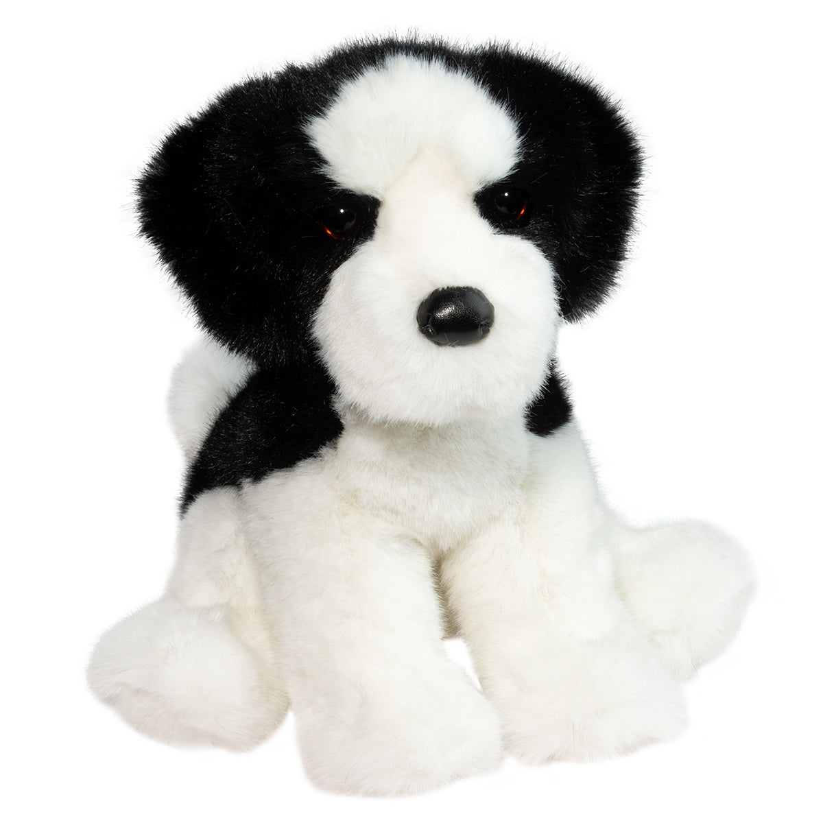 Teefer Shih-Tzu