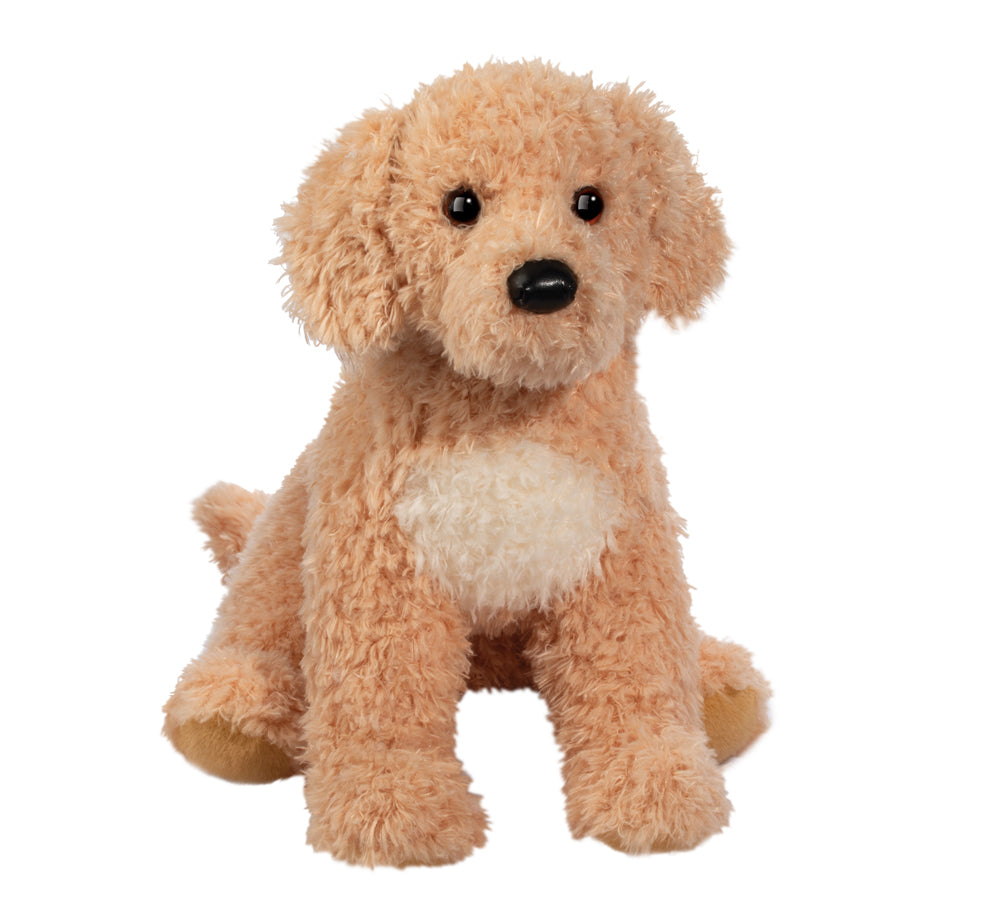 Noodle Goldendoodle