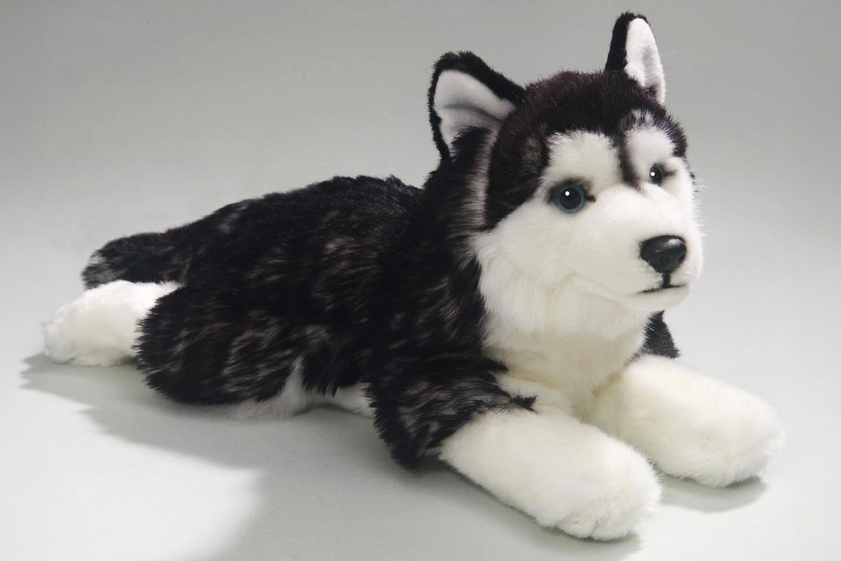 Carl Dick Husky