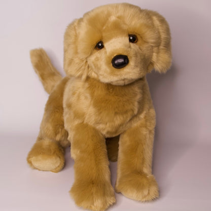 Honey Golden Retriever