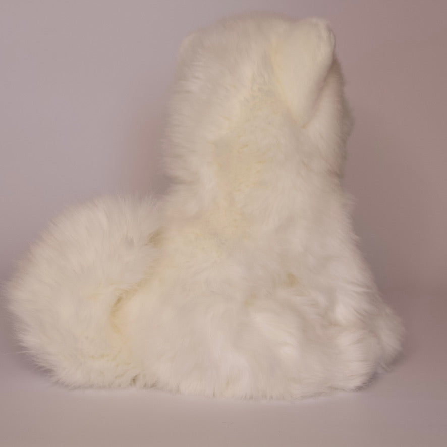 Opo White Pomeranian