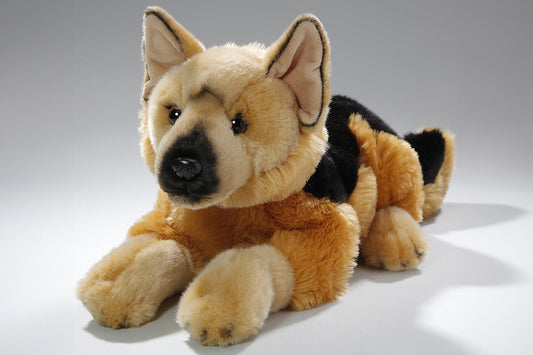 Carl Dick German Shepherd lying
