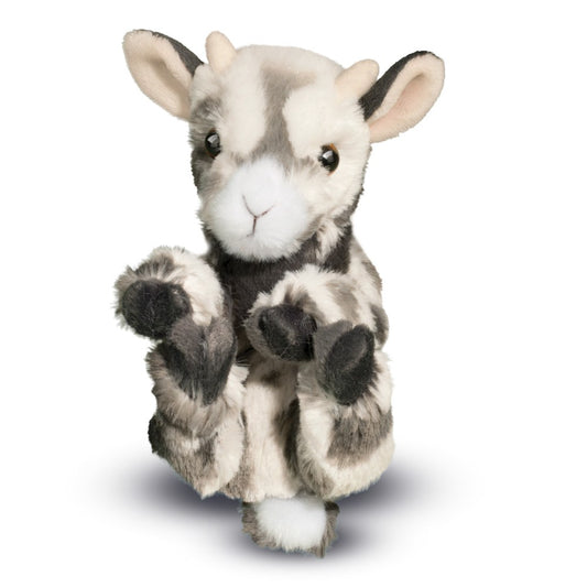 Lil Baby Goat