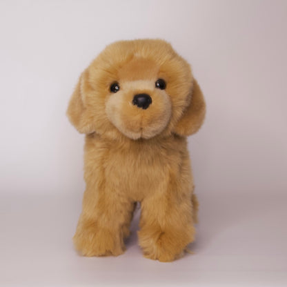 Chap Golden Retriever