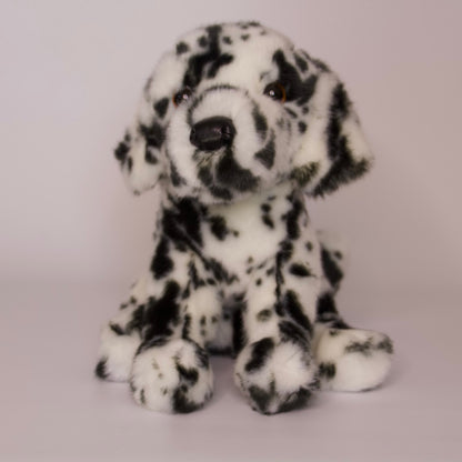 Mackay Dalmatian