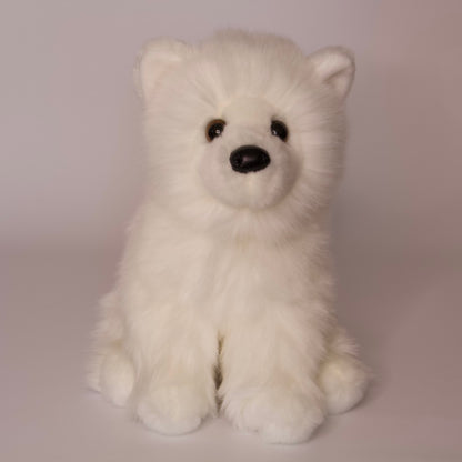 Opo White Pomeranian
