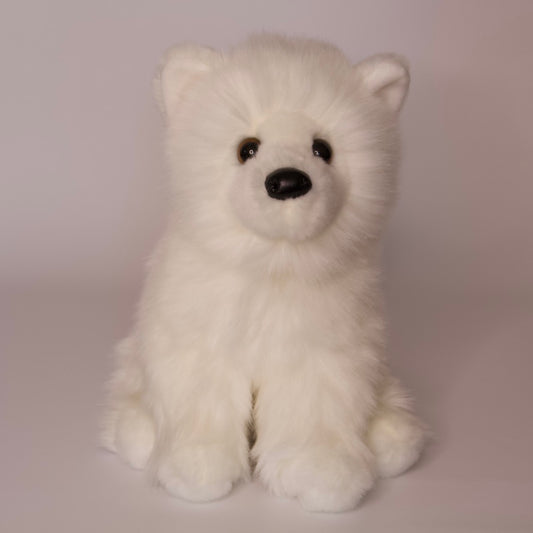 Opo White Pomeranian