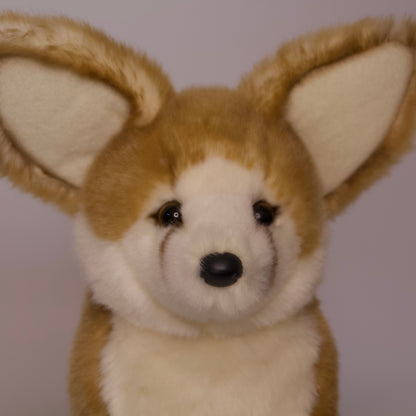 Sly Fennec Fox
