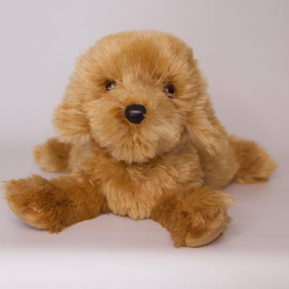 Addie Caramel Labradoodle