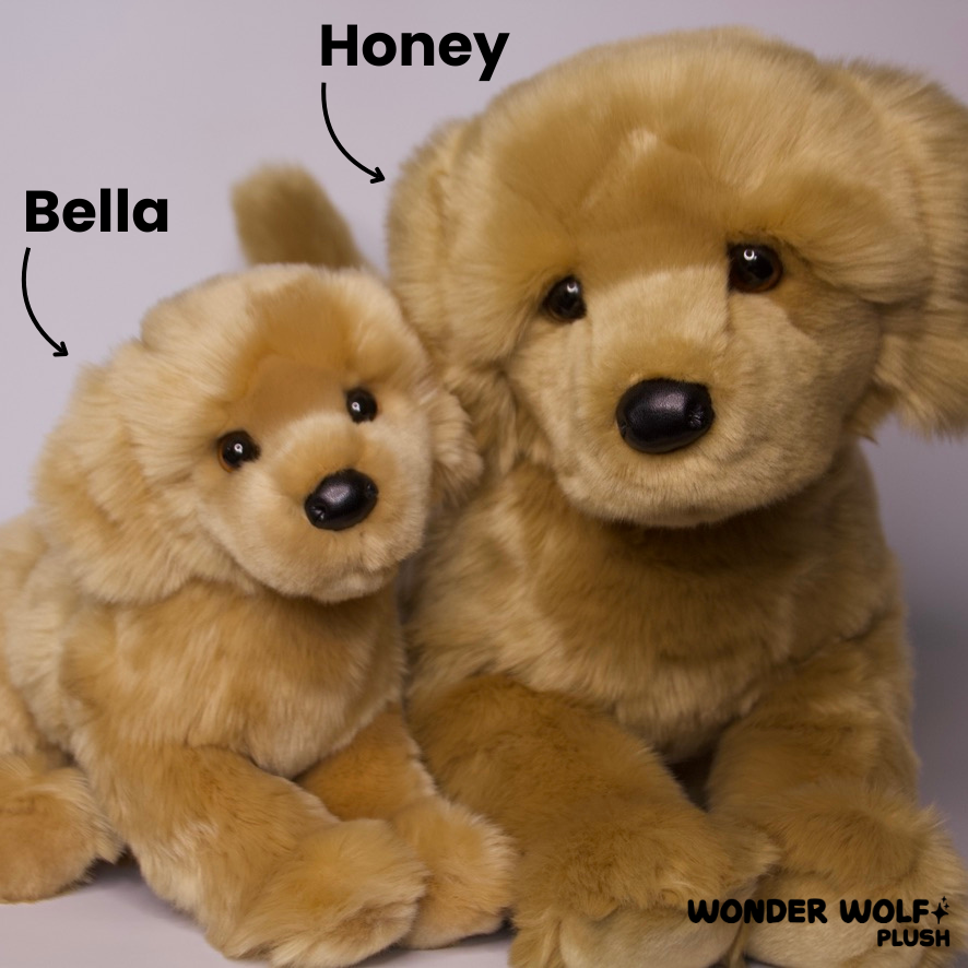 Bella Golden Retriever