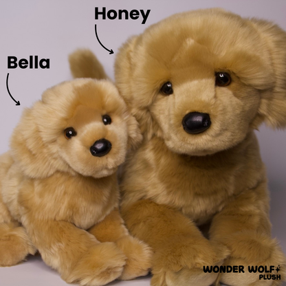 Bella Golden Retriever